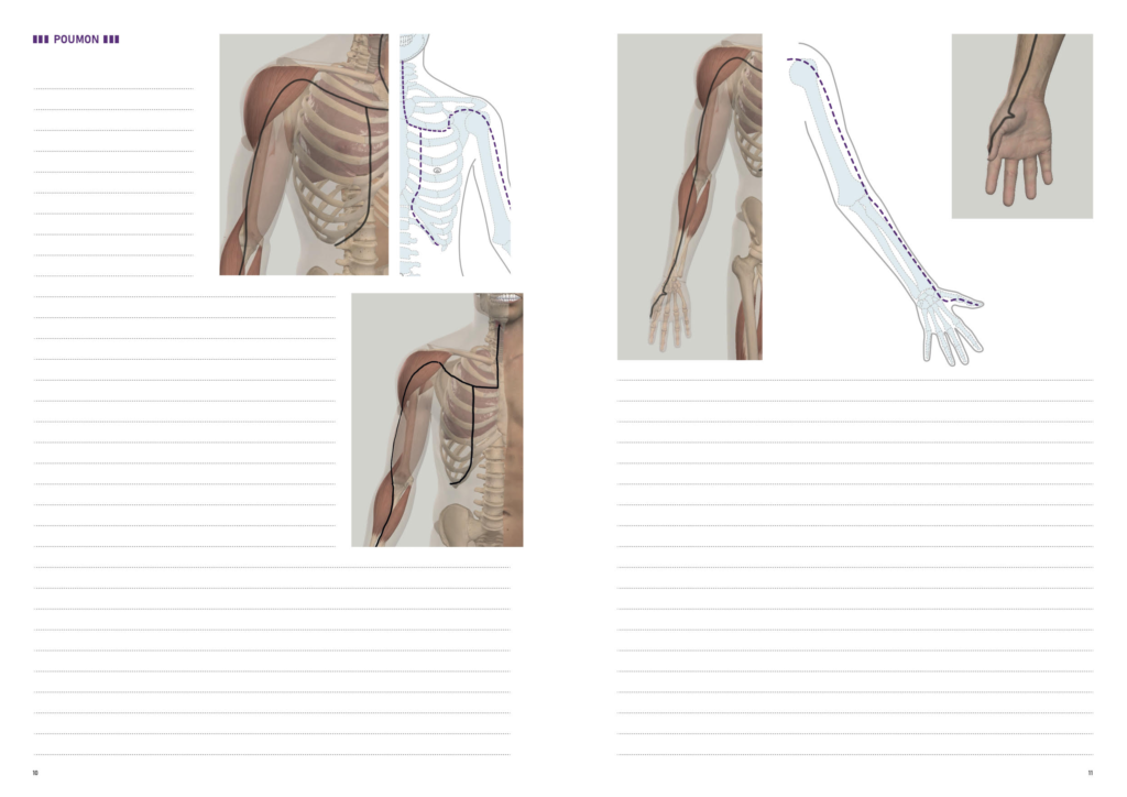 Cahier d'étude des méridiens du IOKAI SHIATSU